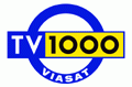 Канал "ТВ 1000"