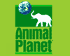 Канал "Animal Planet"
