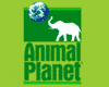  "Animal Planet"